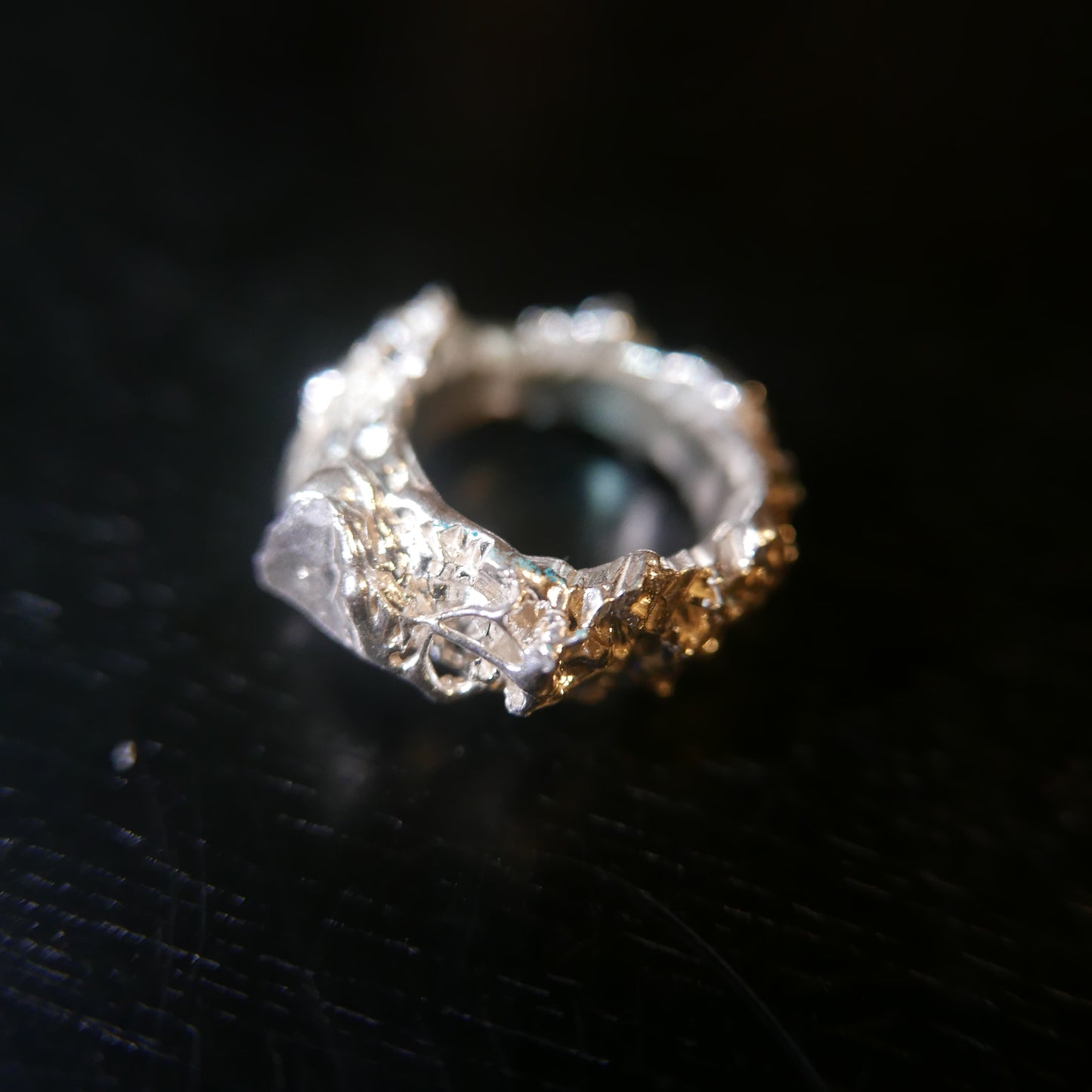 粘菌シリーズ シルバー 14号