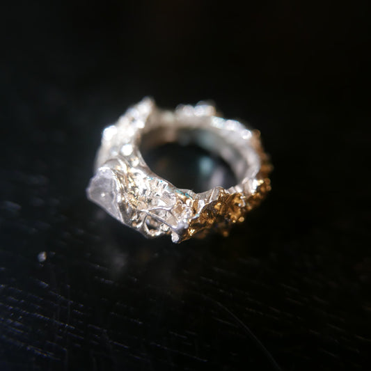 粘菌シリーズ シルバー 14号