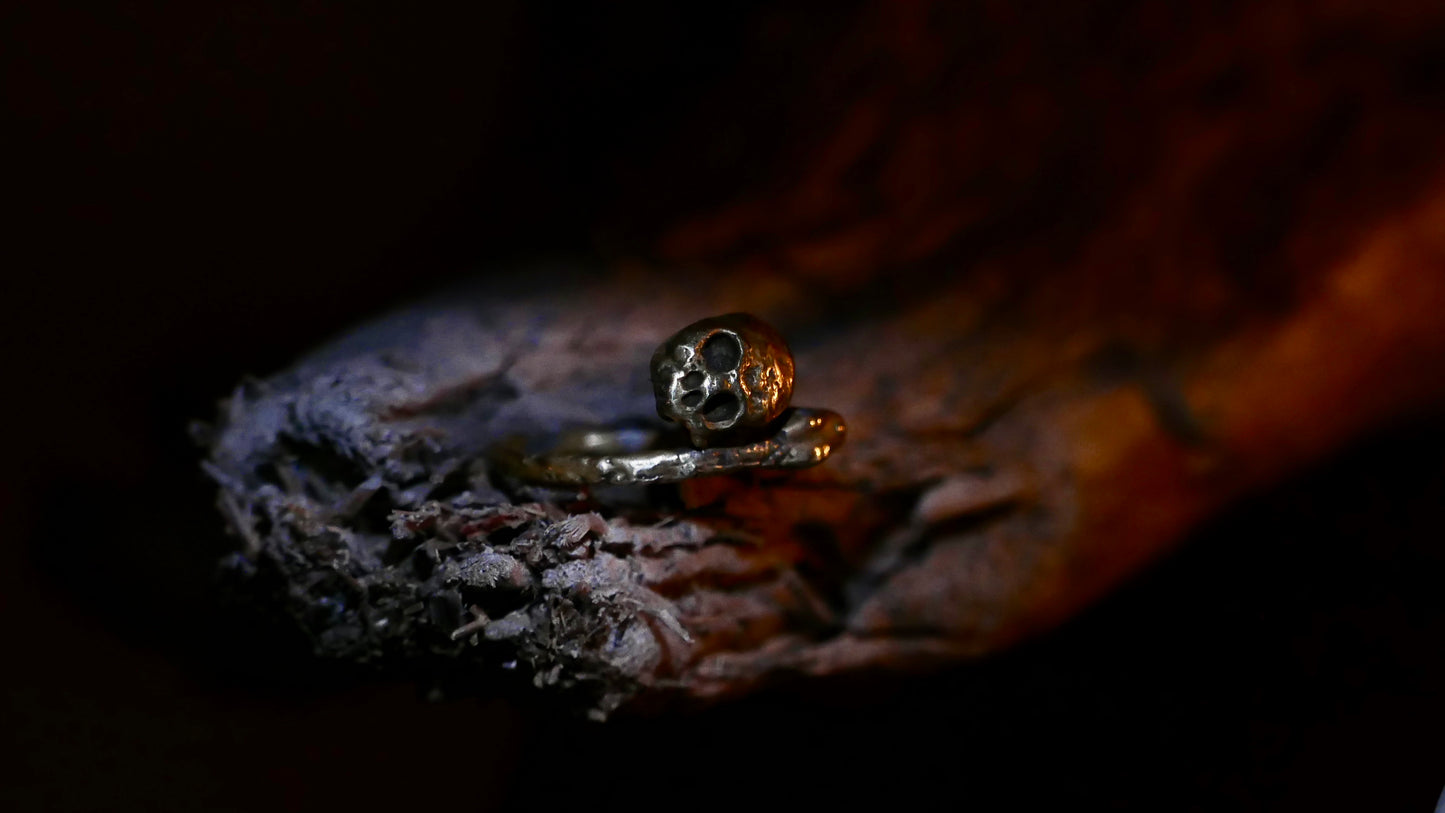 Snake skull. Brand: sharespirit