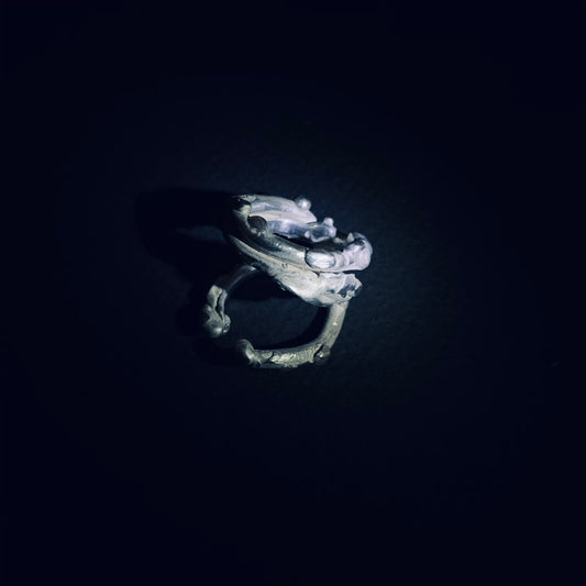 Bone ring series.  “Arthropoda”